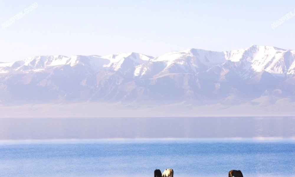 语文五年级下人教新课标1《口语交际习作一》课件.ppt