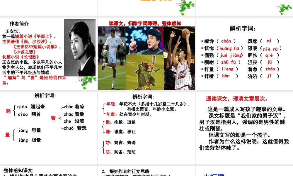 语文五年级下人教新课标选读6《我们家的男子汉》课件5.ppt