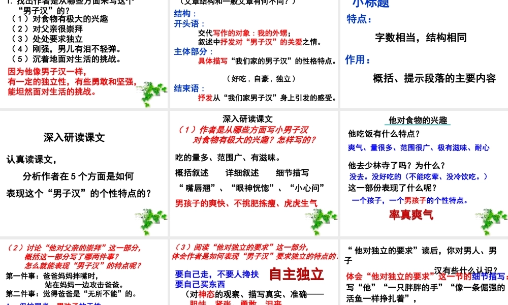 语文五年级下人教新课标选读6《我们家的男子汉》课件5.ppt