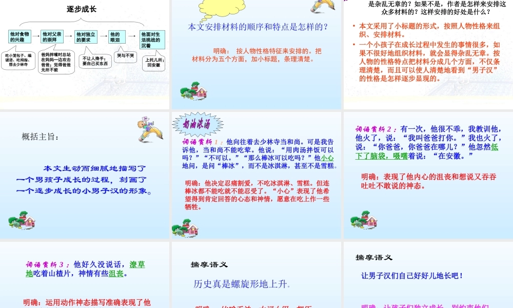 语文五年级下人教新课标选读6《我们家的男子汉》课件3.ppt