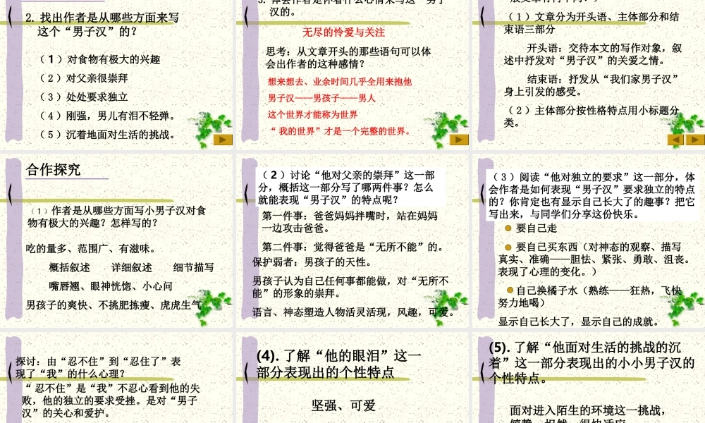 语文五年级下人教新课标选读6《我们家的男子汉》课件7.ppt