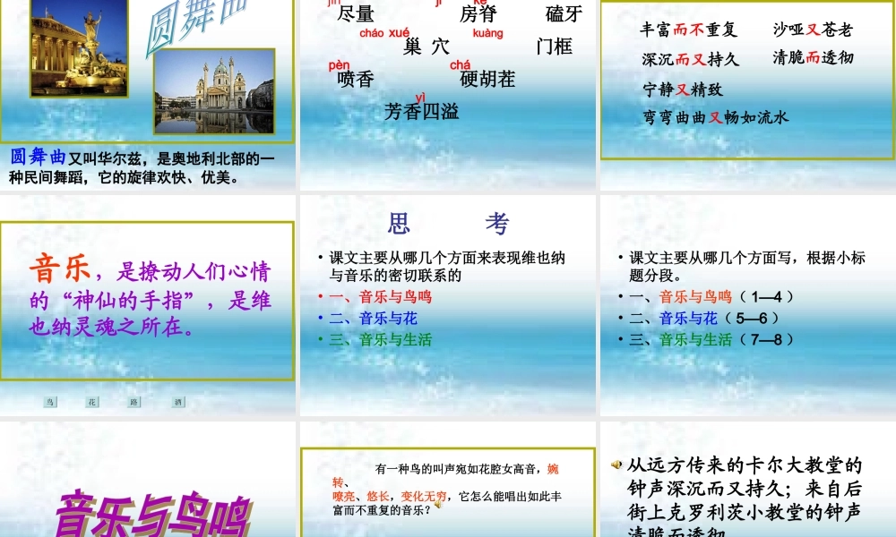 语文五年级下人教新课标选读8《维也纳生活圆舞曲》课件4.ppt