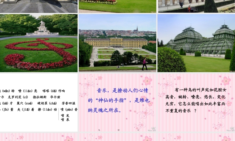 语文五年级下人教新课标选读8《维也纳生活圆舞曲》课件5.ppt