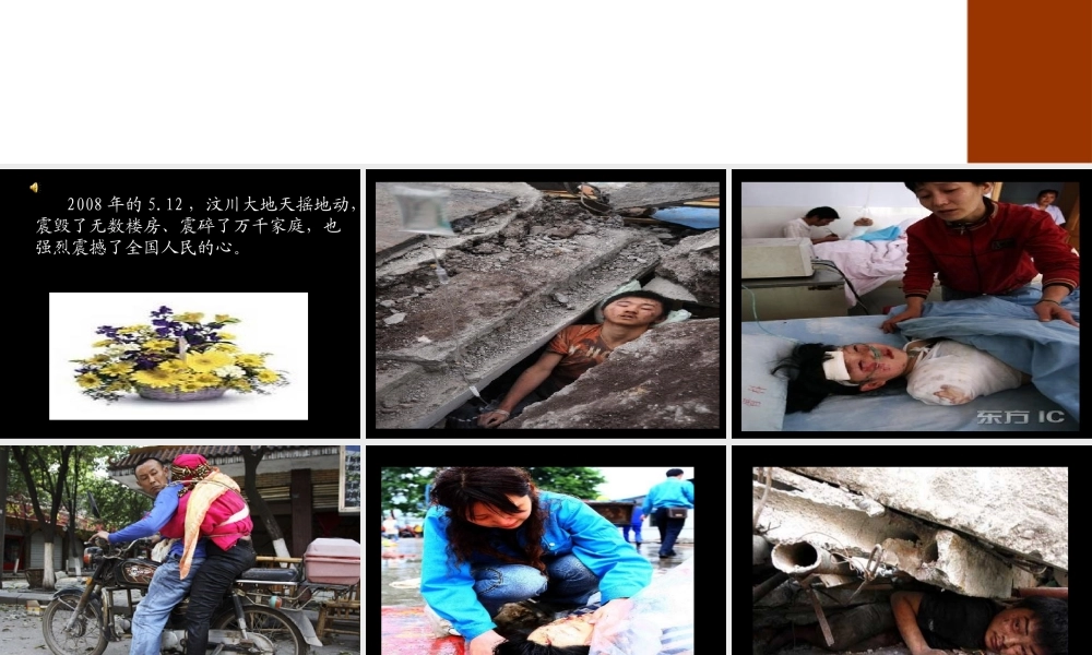 语文五年级下人教新课标选读9《我有一个强大的祖国》课件2.ppt