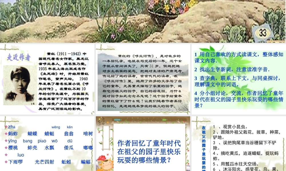 祖父的园子1.ppt