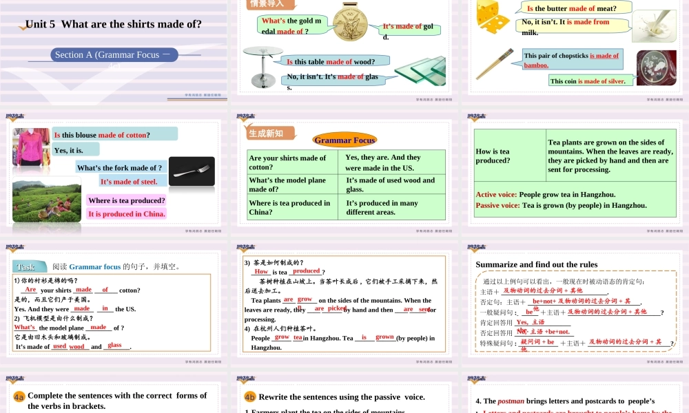 第3课时　Section A (Grammar Focus－4c).ppt