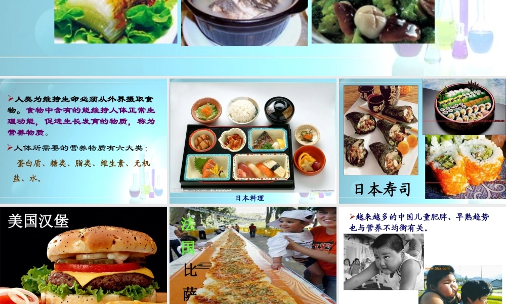 【淘宝：日出教育】高中化学课件必修二《第三章 第四节 基本的营养物质》（共39张PPT）.ppt