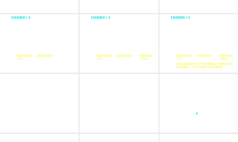 【推荐】人教版高中化学选修五 3.3羧酸 酯第2课时（课件2） .ppt