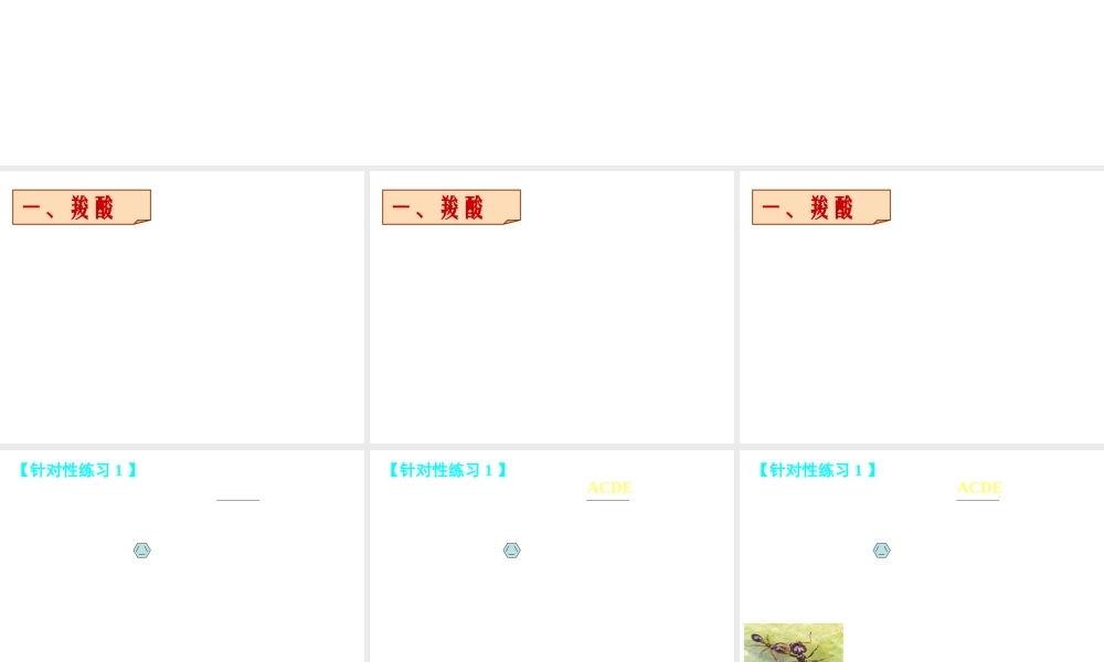 【推荐】人教版高中化学选修五 3.3羧酸 酯第1课时（课件2） .ppt