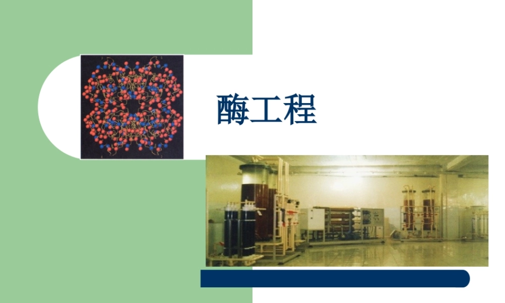 1 第一章：酶工程2015.ppt