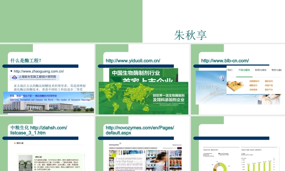 1 第一章：酶工程2015.ppt