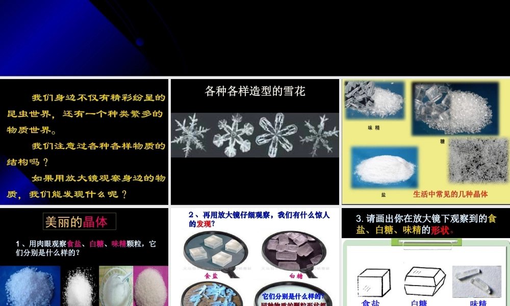 1.3放大镜下的晶体 何莹莹.ppt