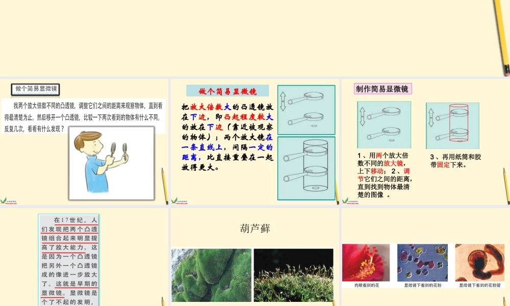 1.4怎样放得更大 何莹莹.ppt