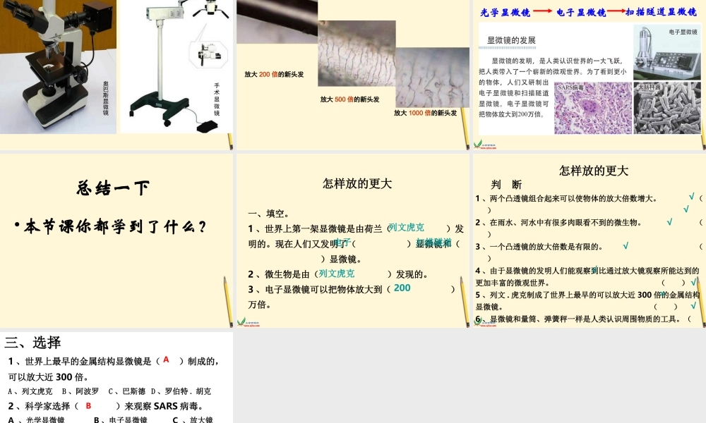 1.4怎样放得更大 何莹莹.ppt