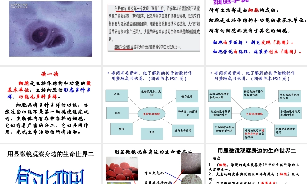 1.6用显微镜观察身边的生命世界（二）.ppt