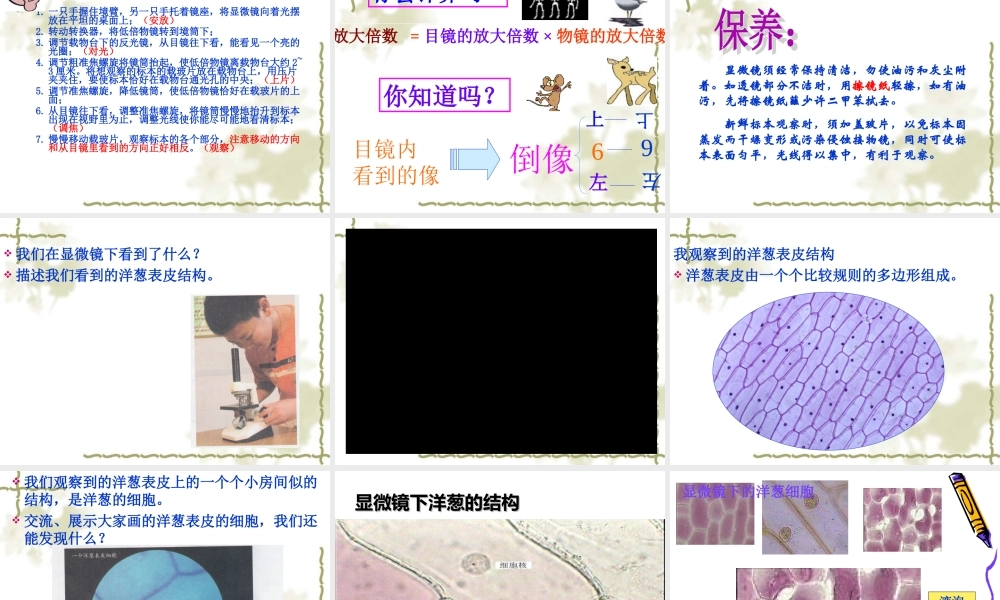 1.5用显微镜观察身边的生命世界(一).ppt