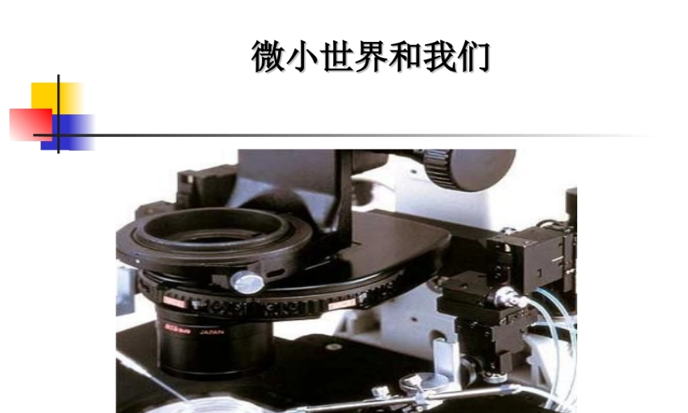 1.8《微小世界和我们》.ppt