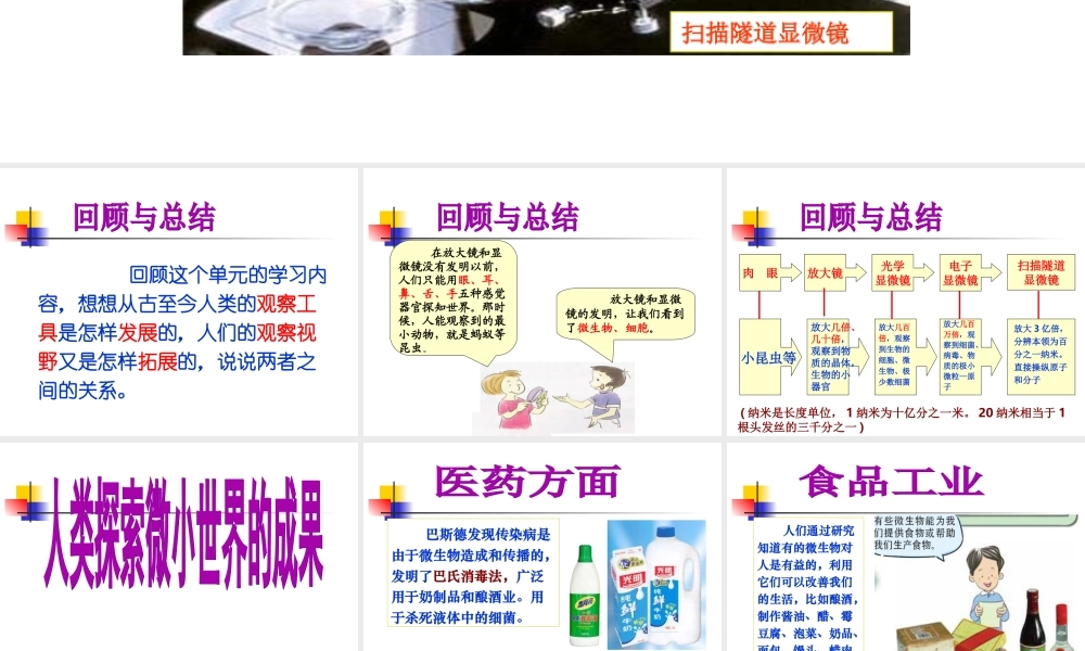 1.8《微小世界和我们》.ppt