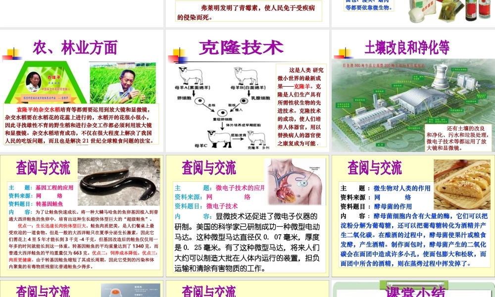 1.8《微小世界和我们》.ppt