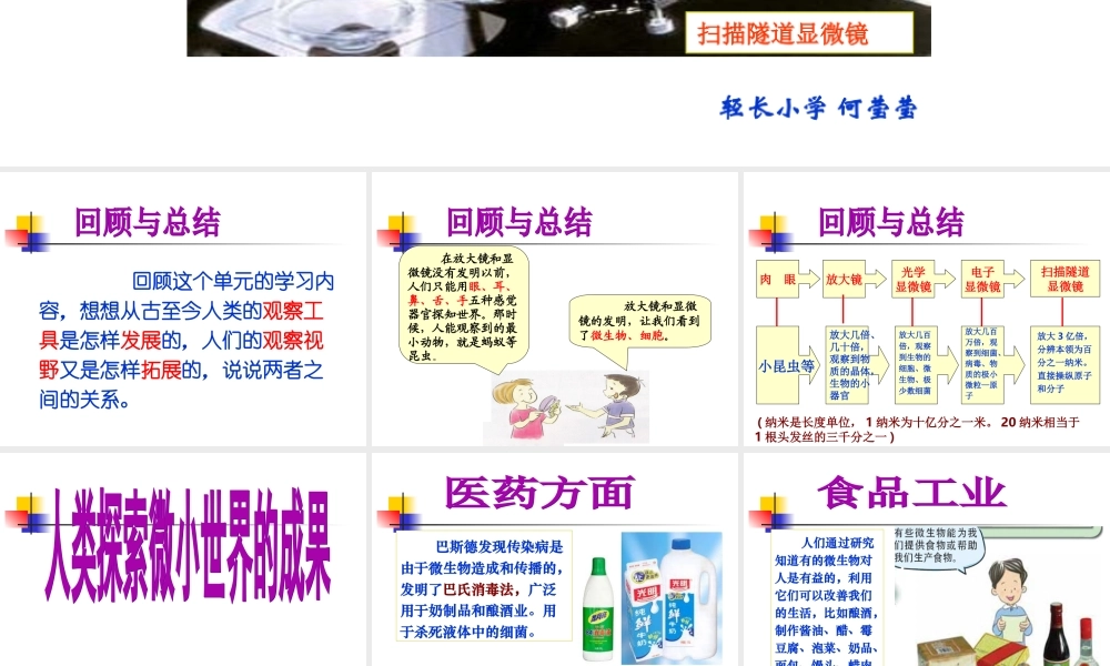 1.8《微小世界和我们》何莹莹.ppt