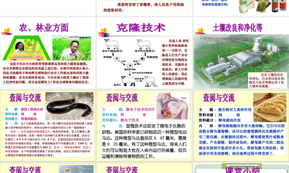 1.8《微小世界和我们》何莹莹.ppt