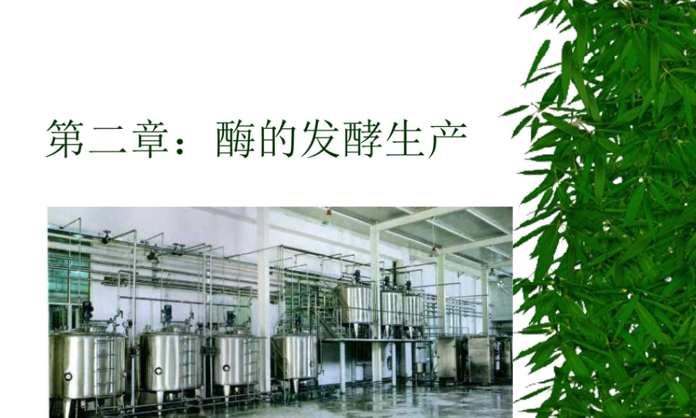2 第二章：酶的发酵生产.ppt