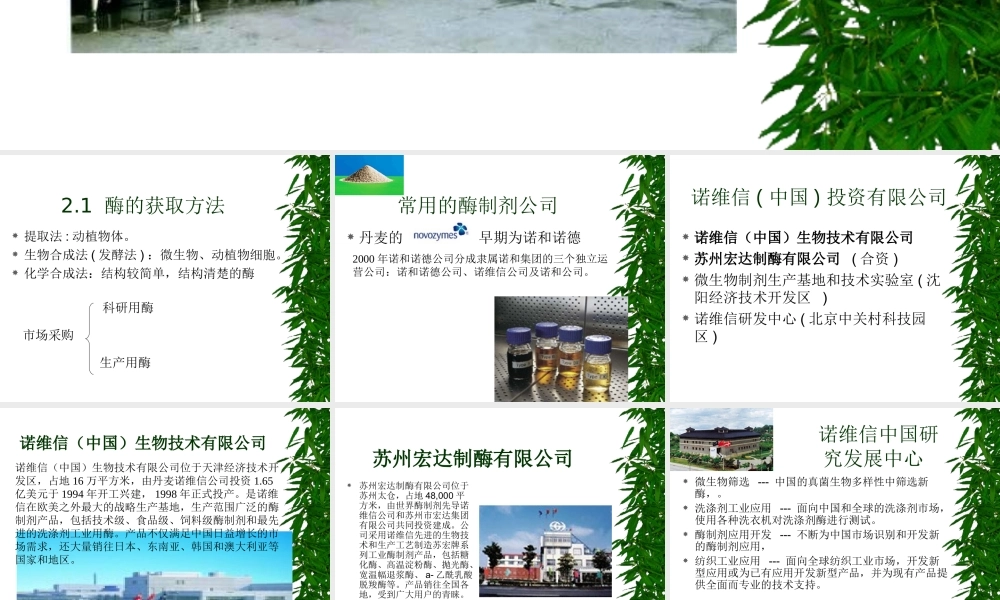 2 第二章：酶的发酵生产.ppt