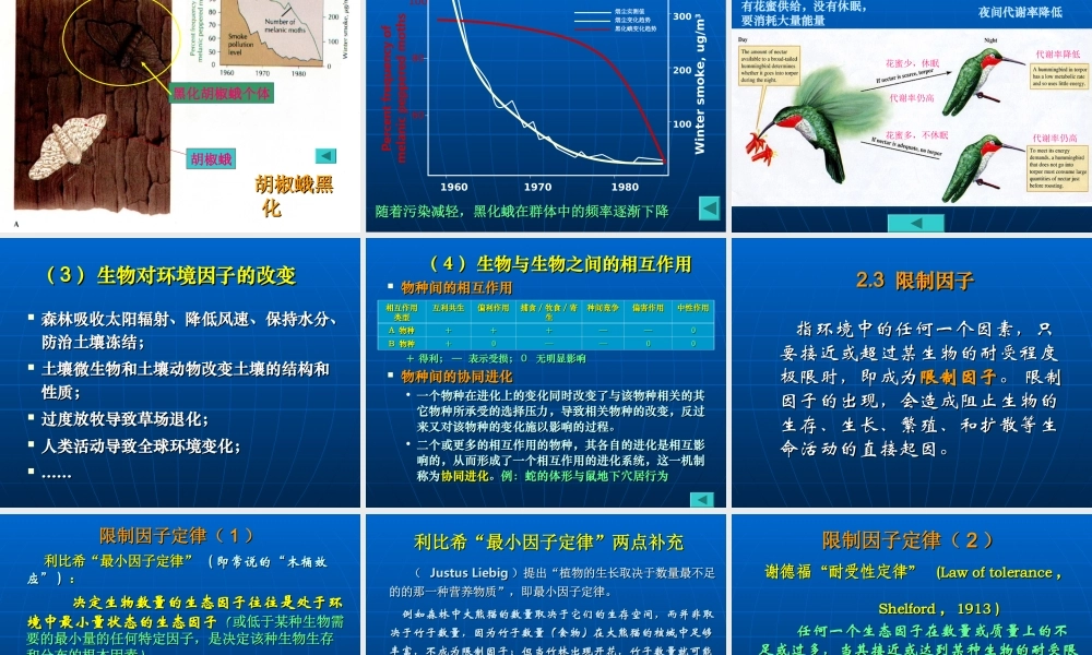 2、第二章生物与环境（1）生态因子.ppt