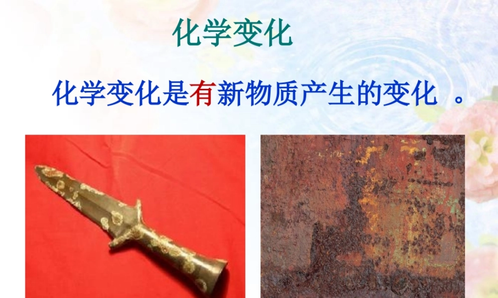 2.3米饭、淀粉和碘酒的变化.ppt