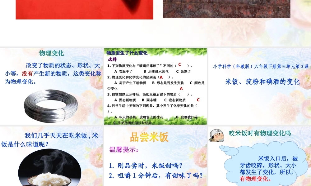 2.3米饭、淀粉和碘酒的变化.ppt