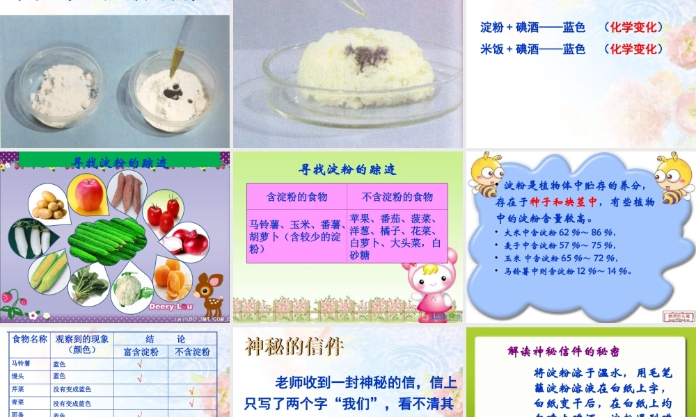 2.3米饭、淀粉和碘酒的变化.ppt