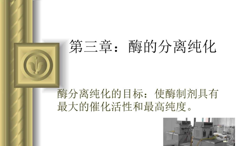 3 第三章：酶的分离纯化.ppt