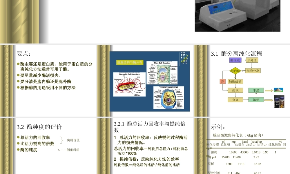 3 第三章：酶的分离纯化.ppt