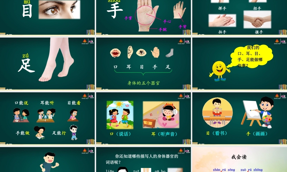 3 口耳目【护眼版】.ppt