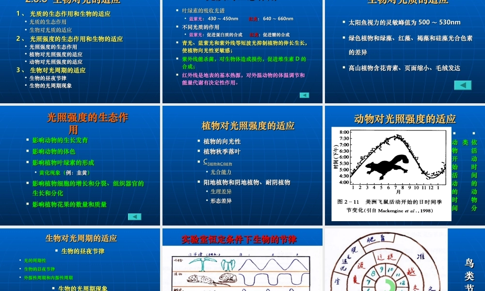 3、第二章生物与环境（2）能量环境.ppt