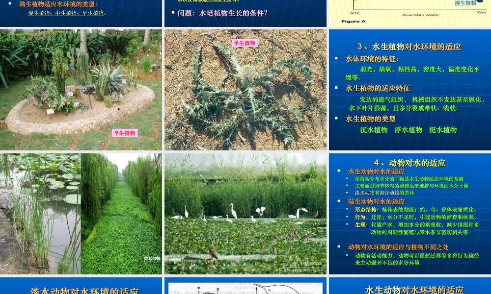 4、第二章生物与环境（3）物资环境.ppt