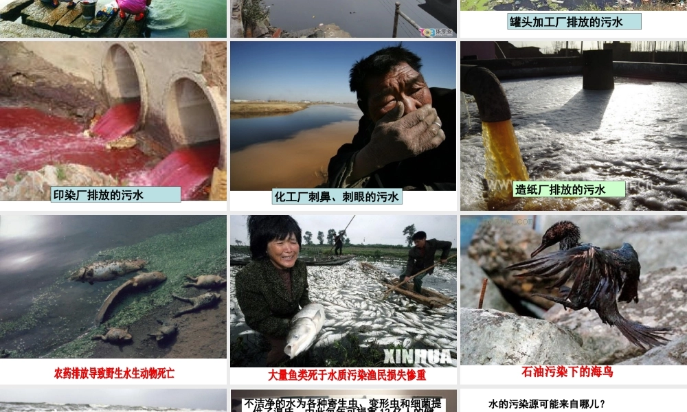 4.6污水和污水处理 何莹莹.ppt