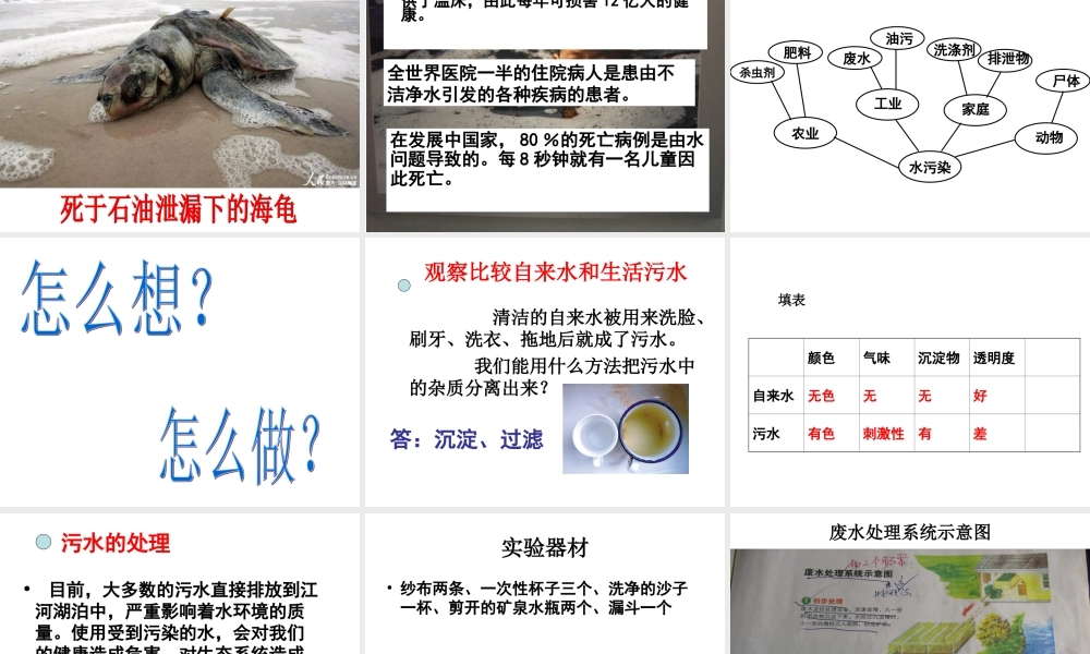 4.6污水和污水处理 何莹莹.ppt