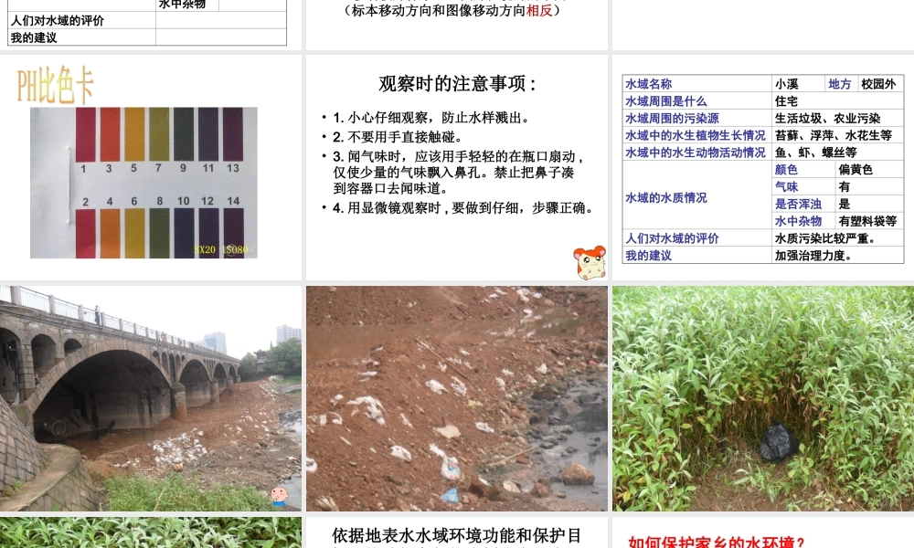 4.7考察家乡的自然水域 何莹莹.ppt
