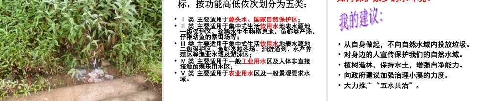 4.7考察家乡的自然水域 何莹莹.ppt