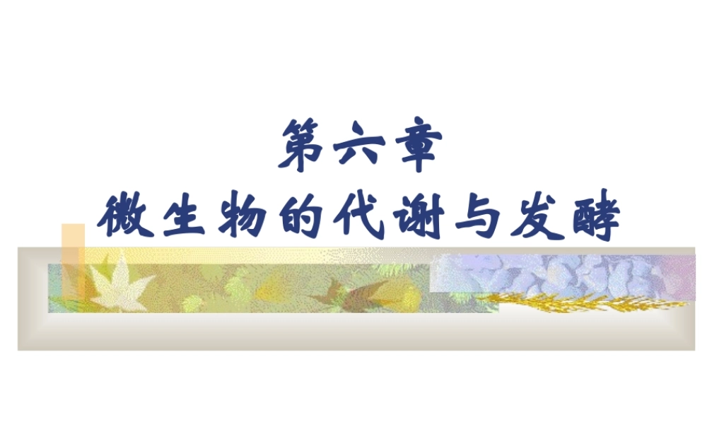 6 微生物的代谢与发酵.ppt