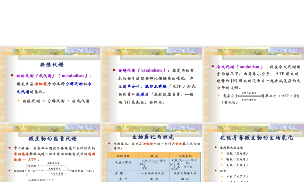 6 微生物的代谢与发酵.ppt