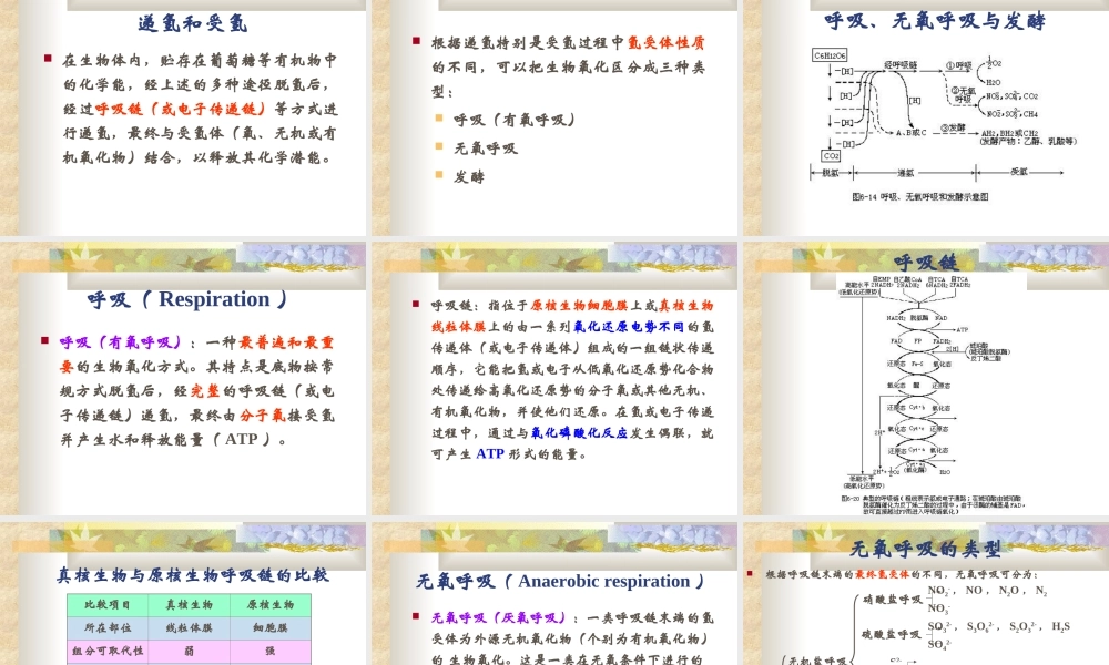 6 微生物的代谢与发酵.ppt