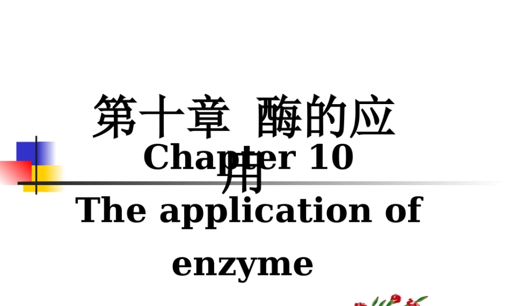 7 第十章_：酶的应用.ppt