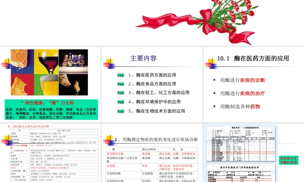 7 第十章_：酶的应用.ppt