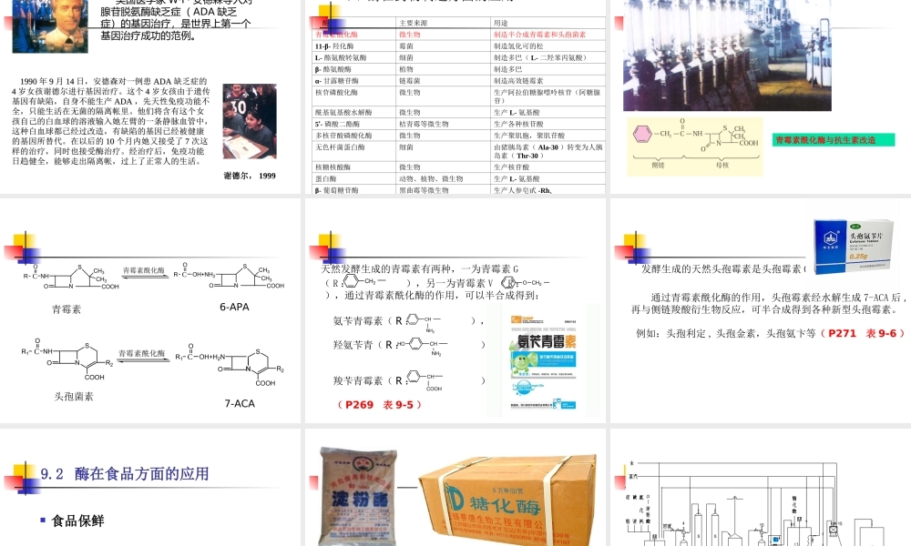 7 第十章_：酶的应用.ppt