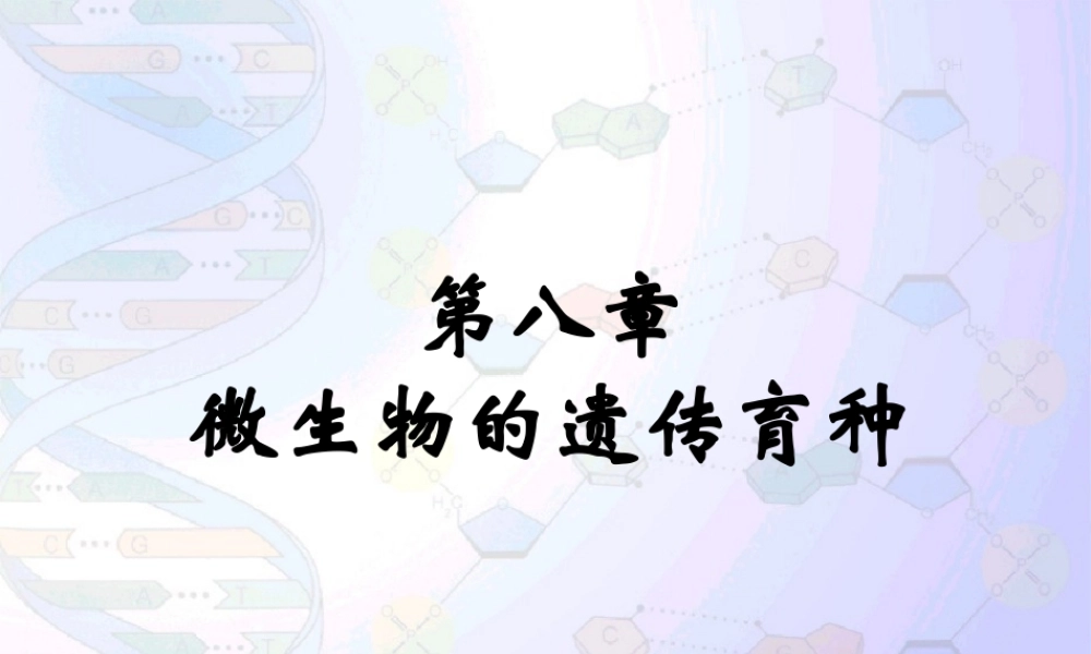 8 微生物的遗传育种.ppt