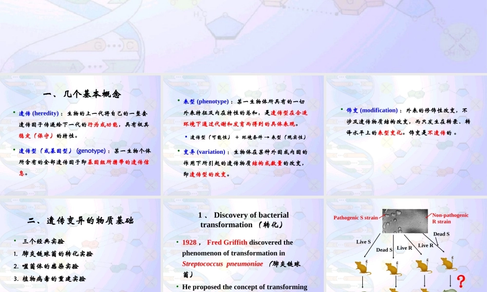 8 微生物的遗传育种.ppt