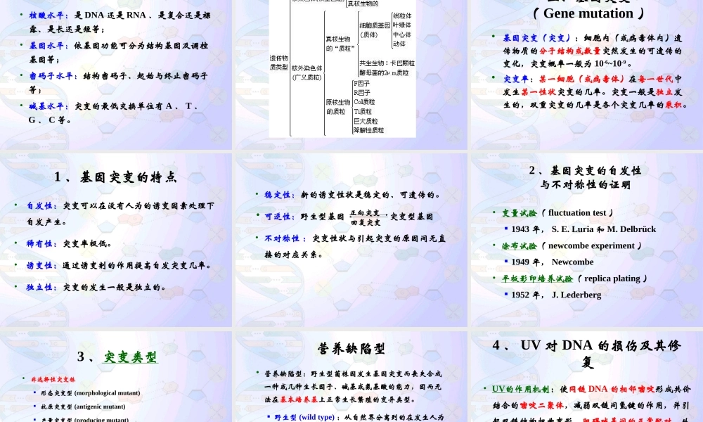 8 微生物的遗传育种.ppt