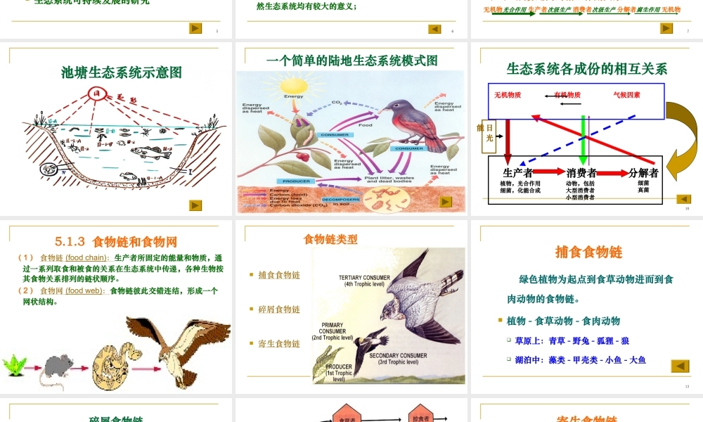 9、第五章生态系统的一般特征.ppt